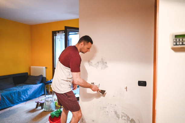 Best Emergency Mold Removal  in York, PA